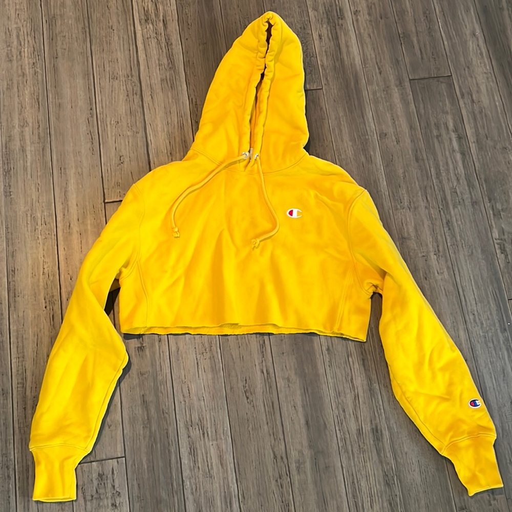 Cropped champion hoodie